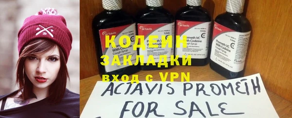крисы Кулебаки