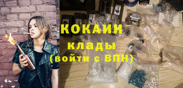 крисы Кулебаки