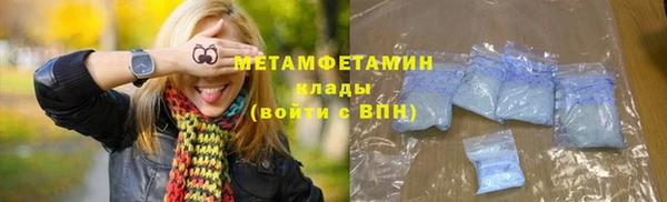 крисы Кулебаки