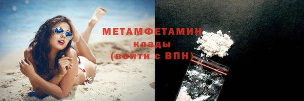 крисы Кулебаки