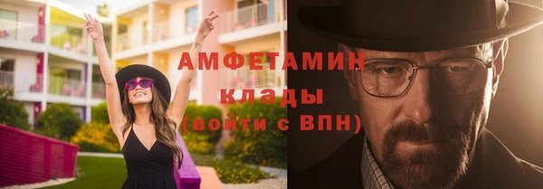 крисы Кулебаки