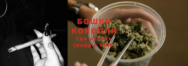крисы Кулебаки