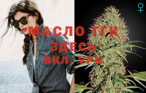 крисы Кулебаки
