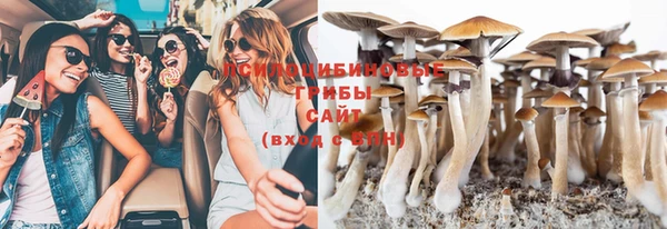 спайс Кукмор