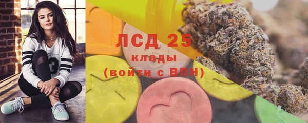 крисы Кулебаки