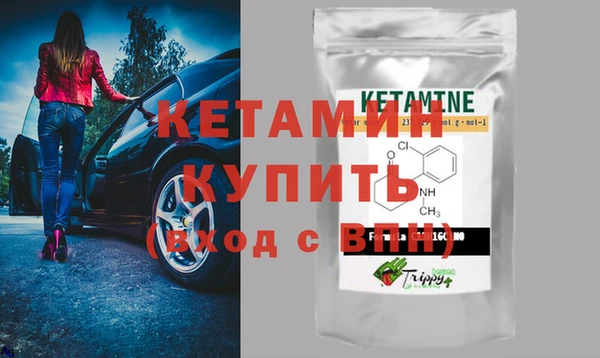 крисы Кулебаки
