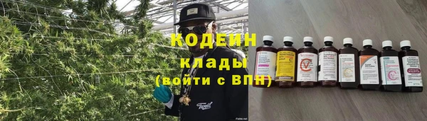 крисы Кулебаки