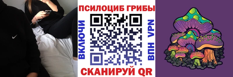 Псилоцибиновые грибы мицелий сколько стоит Электроугли